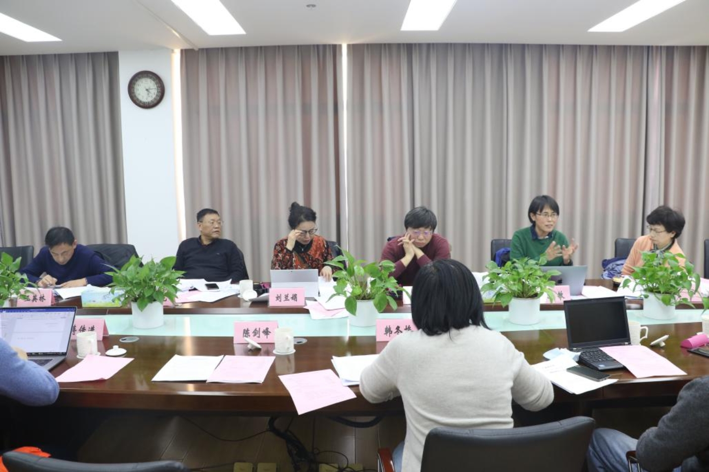 图为与会专家点评 图为与会专家点评
