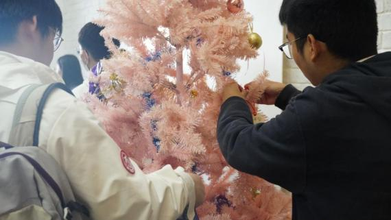 小叶子们在挂心愿卡片 小叶子们在挂心愿卡片