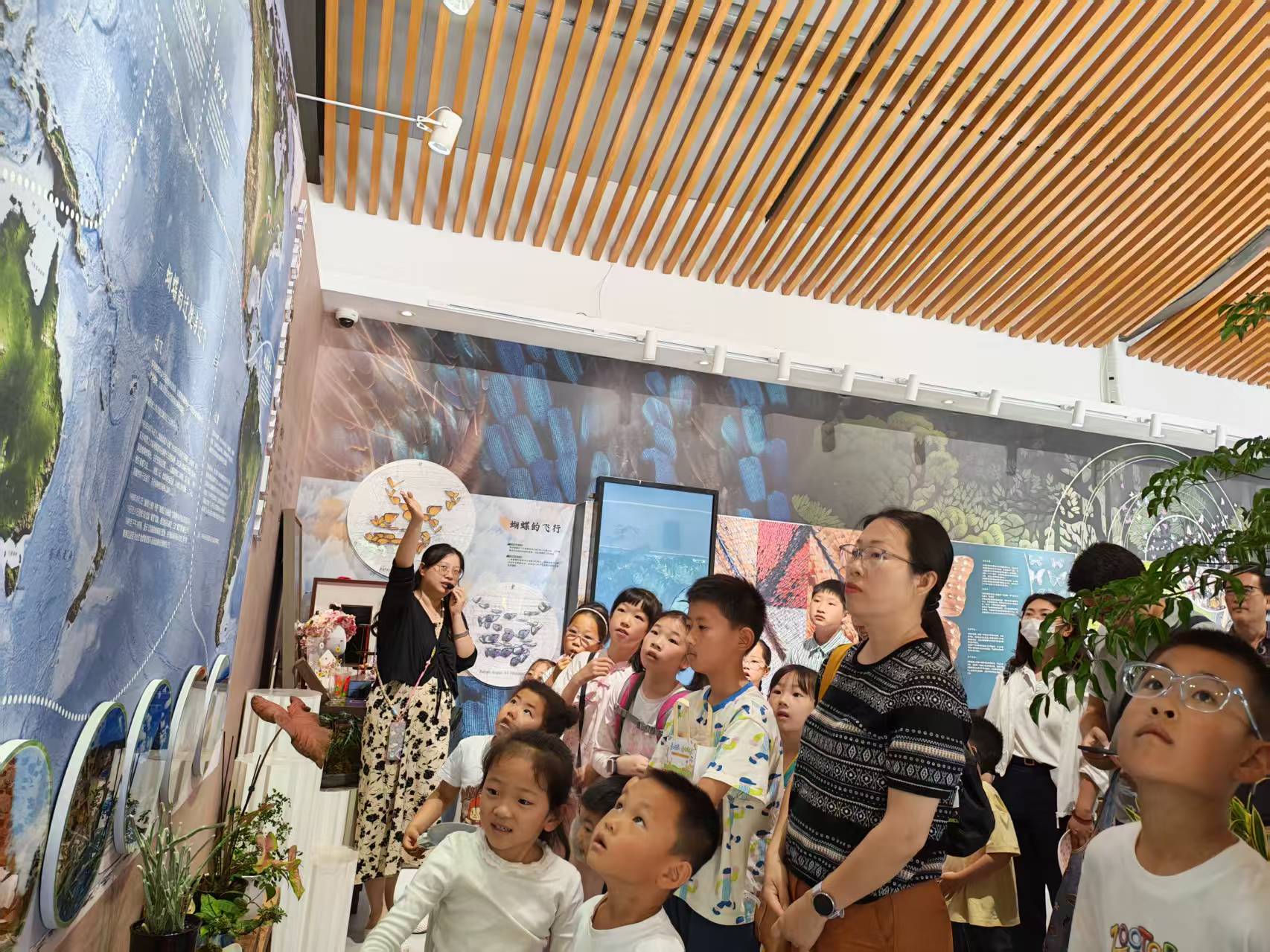蝴蝶展.jpg